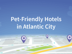 Pet-Friendly Hotels in Atlantic City, NJ