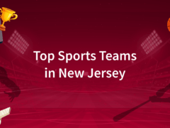 Professional Sports Teams in NJ